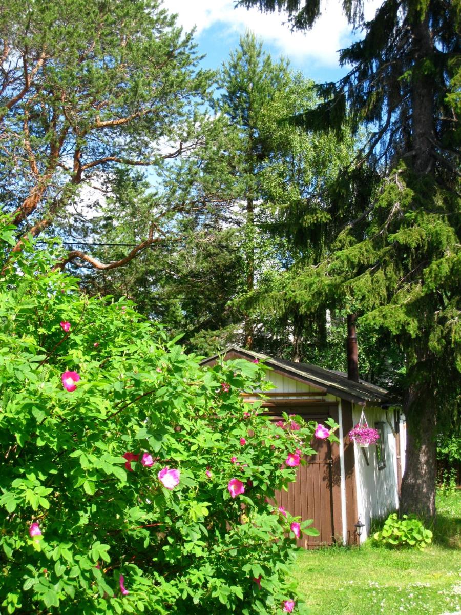Guesthouse Golden Goose - Housity