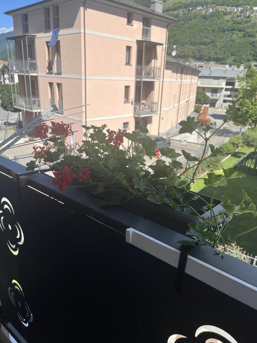 Morbegno holiday house - Hizvo