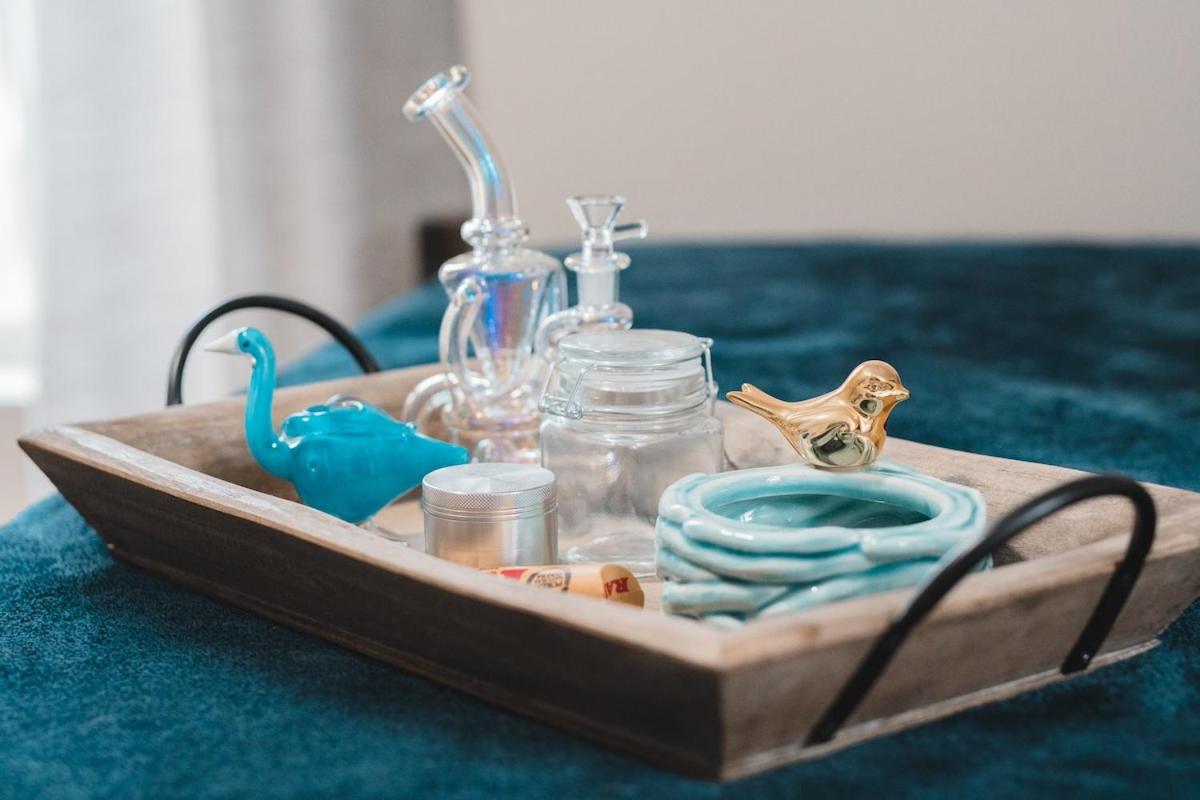 The Nest - An Elevated 420 Adventure - Housity