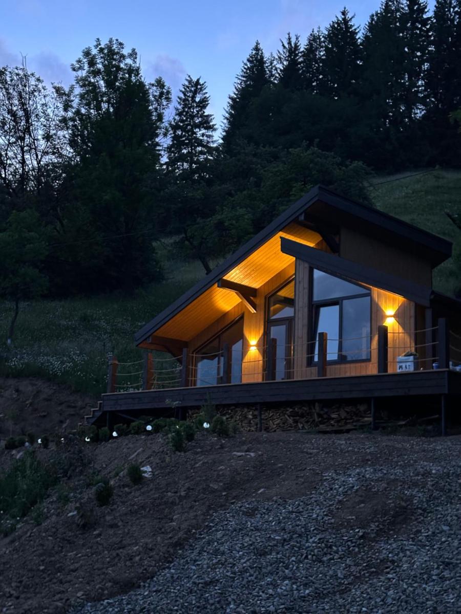 Petrick House - Housity