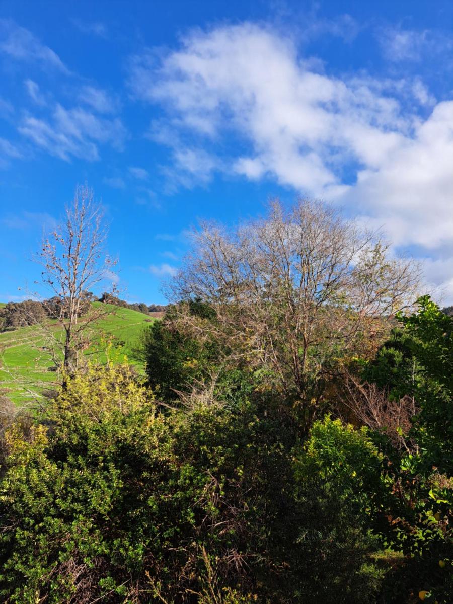 Brookvale House Balingup - Housity