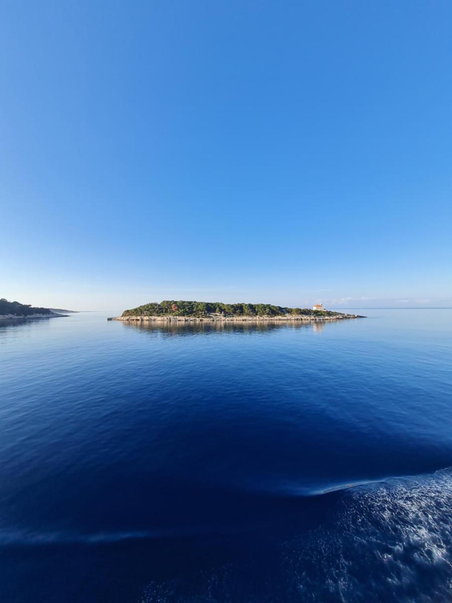 Luxury apartment M&N in Split - FREE PARKING - Housity