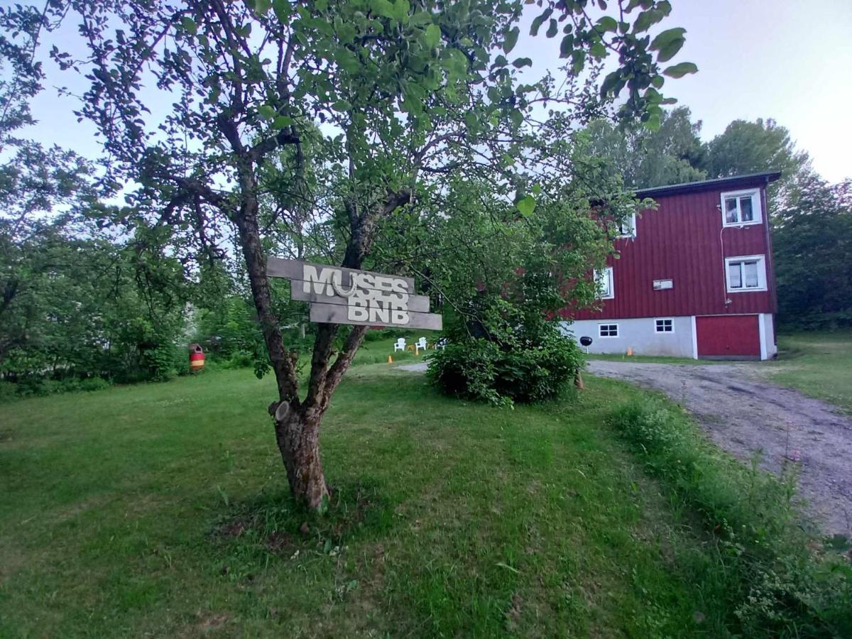 MUSES BNB Bed & Breakfast - Housity