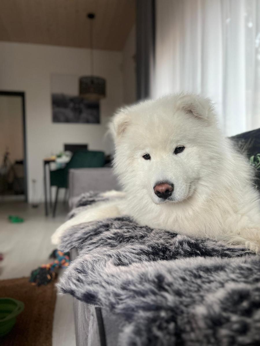 Apartman Othila , Apartman v Demanovskej doline - Housity