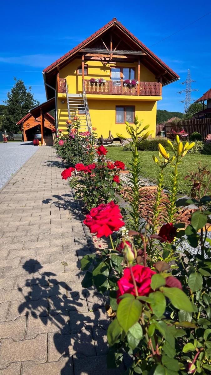 Casa Ferenczi Vendégház - Housity