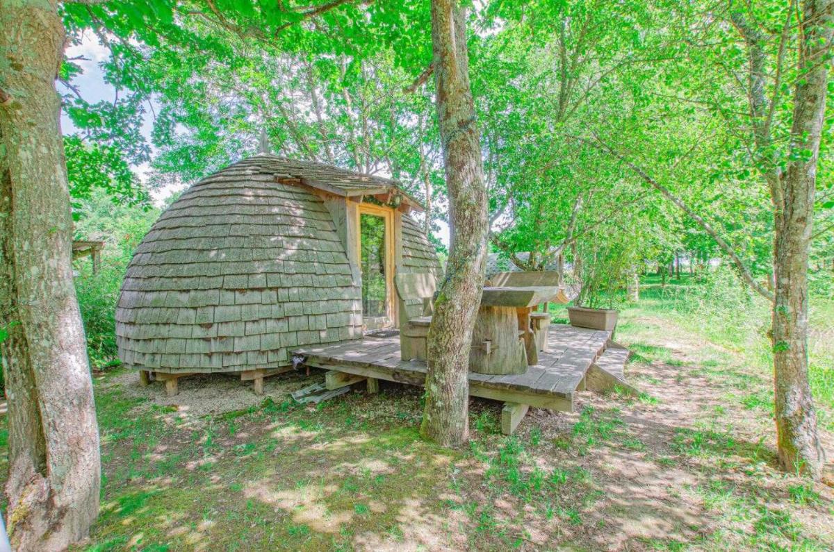La pom de pin - Housity