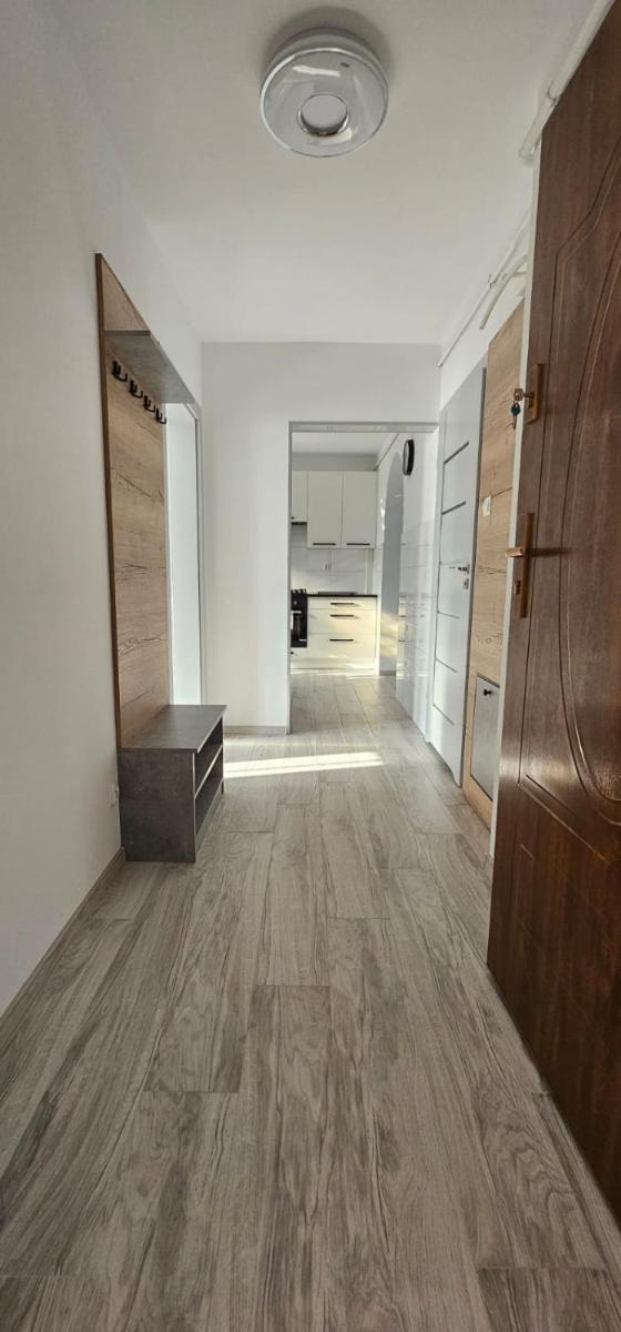 Apartament Gabi - Hizvo