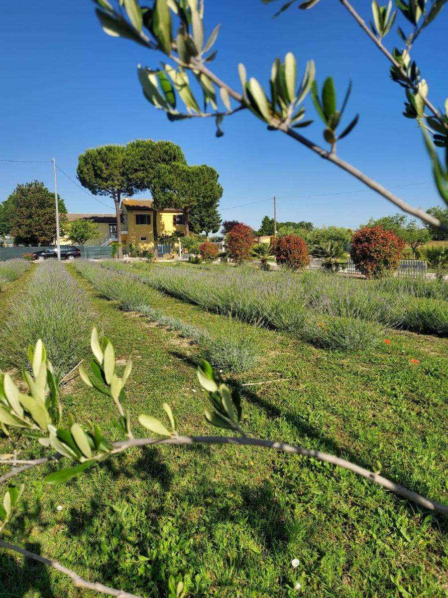 CaSAle - Housity