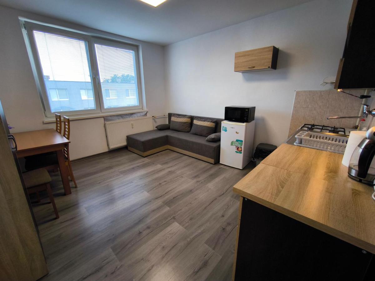 1-iz byt blízko centa Svidník a vojenského múzea - Housity