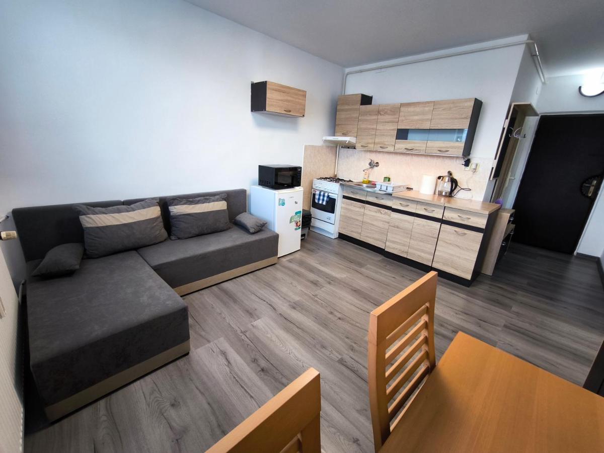 1-iz byt blízko centa Svidník a vojenského múzea - Housity