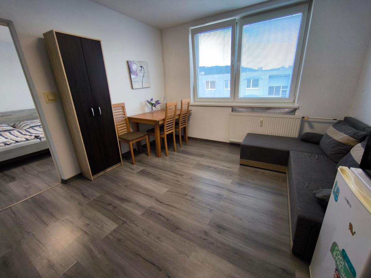 1-iz byt blízko centa Svidník a vojenského múzea - Housity