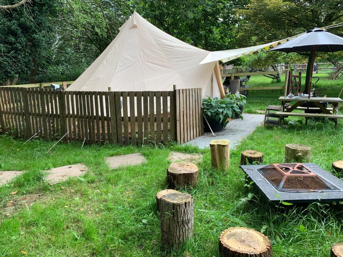 Badgers Burrow - Housity