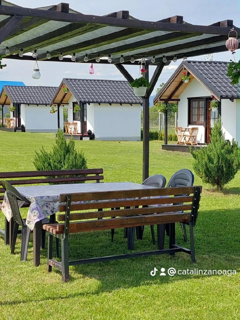 Roza Vânturilor - Housity