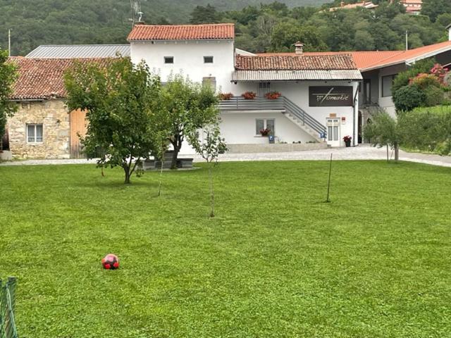 Kmetija Tomažič vinska klet - winery - Housity