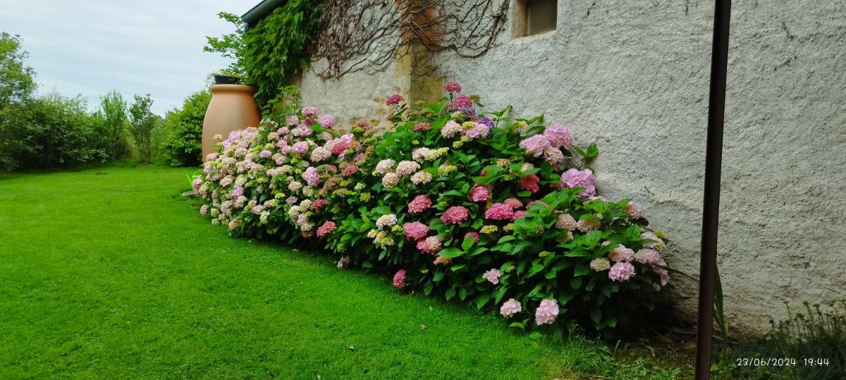 Le Charbonnet - Housity