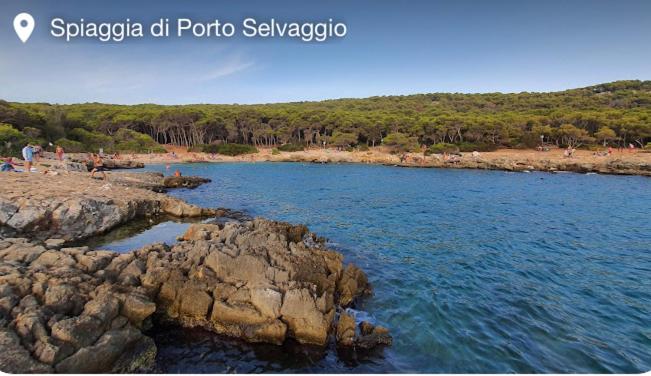 CasAnna nel cuore del Salento Arnesano LE - Housity