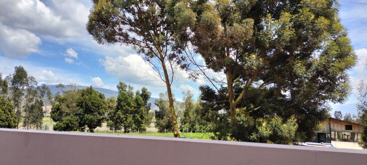 Hotel Alta Vista Campestre - Housity
