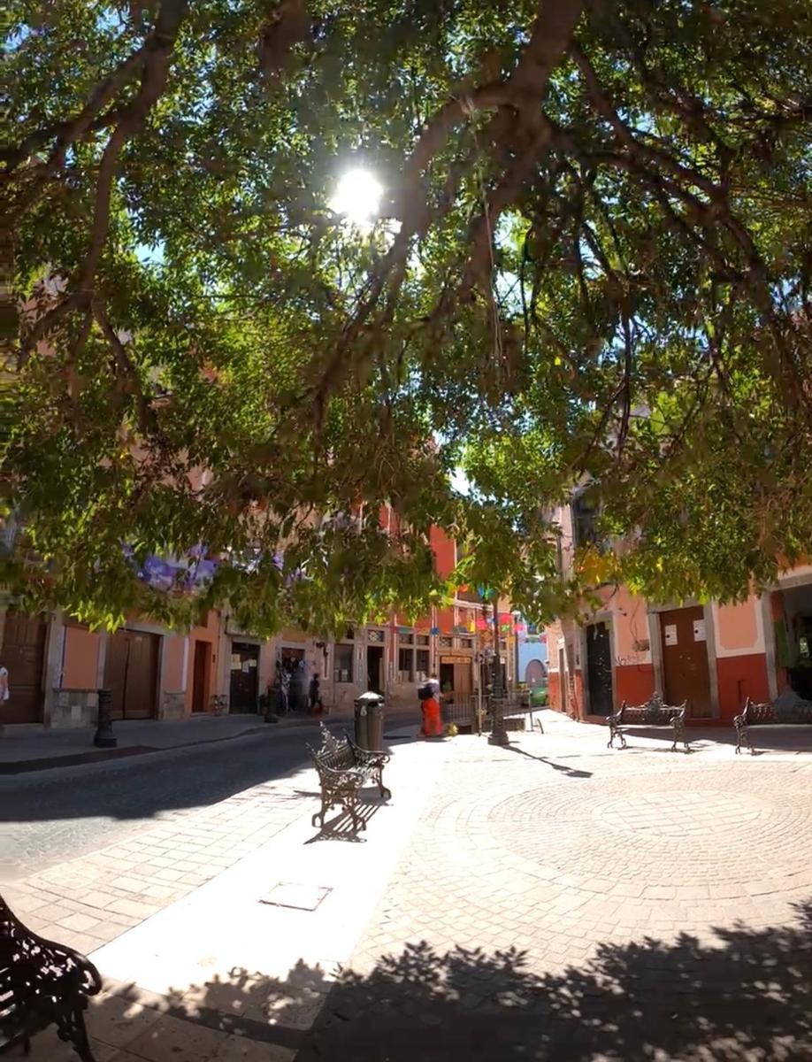 Casa Alonso53 - Housity