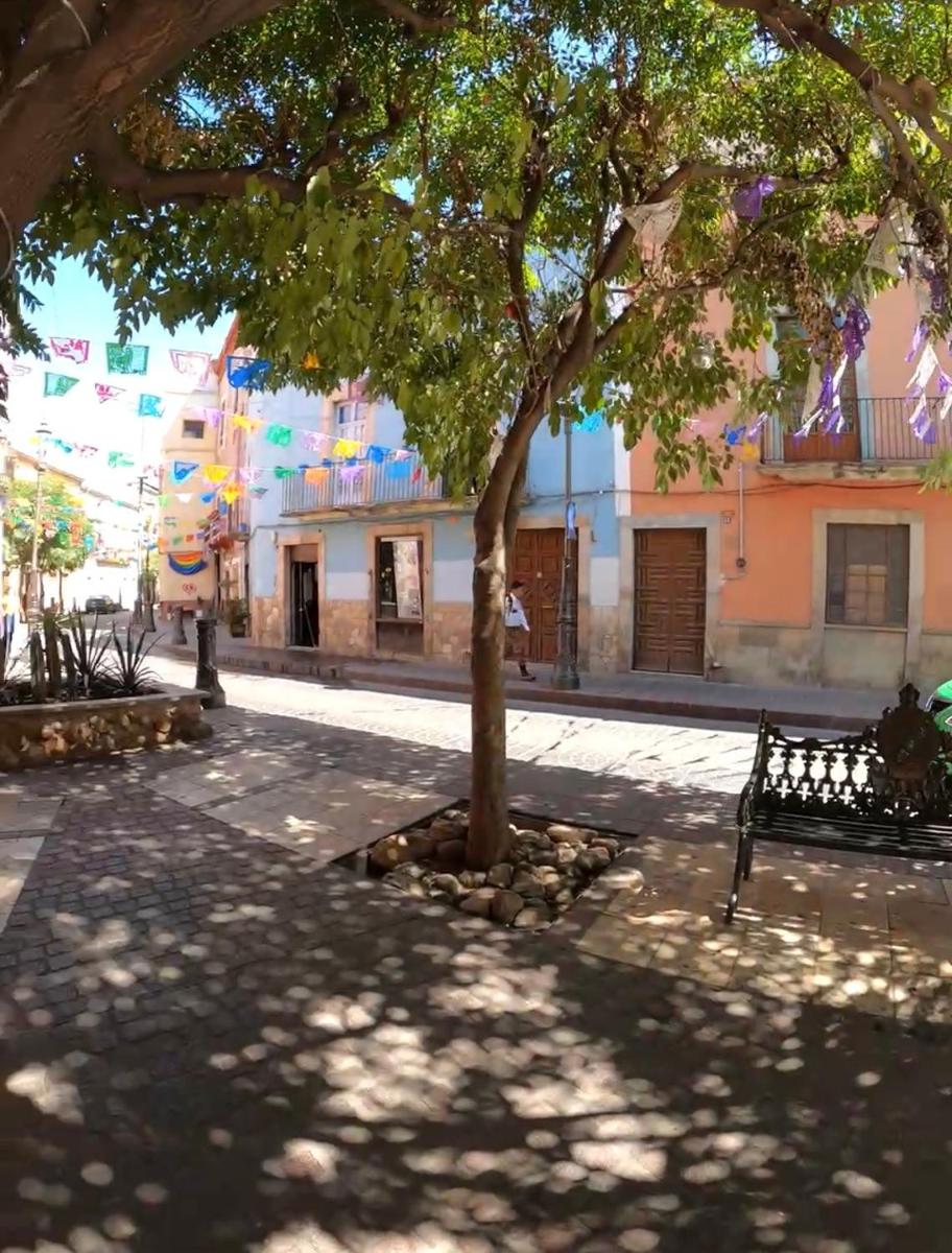 Casa Alonso53 - Housity