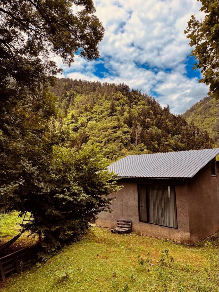 Cozy house in the forest - Housity
