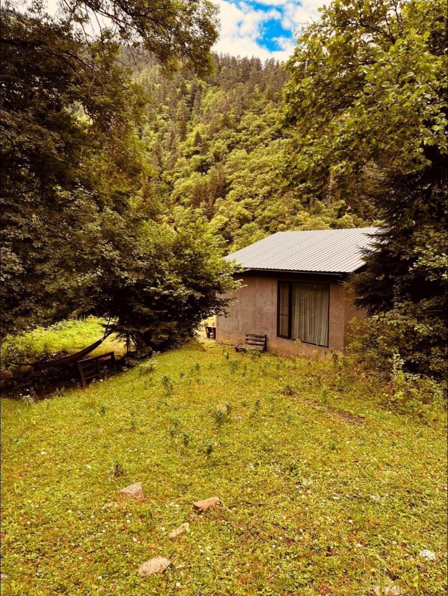 Cozy house in the forest - Housity