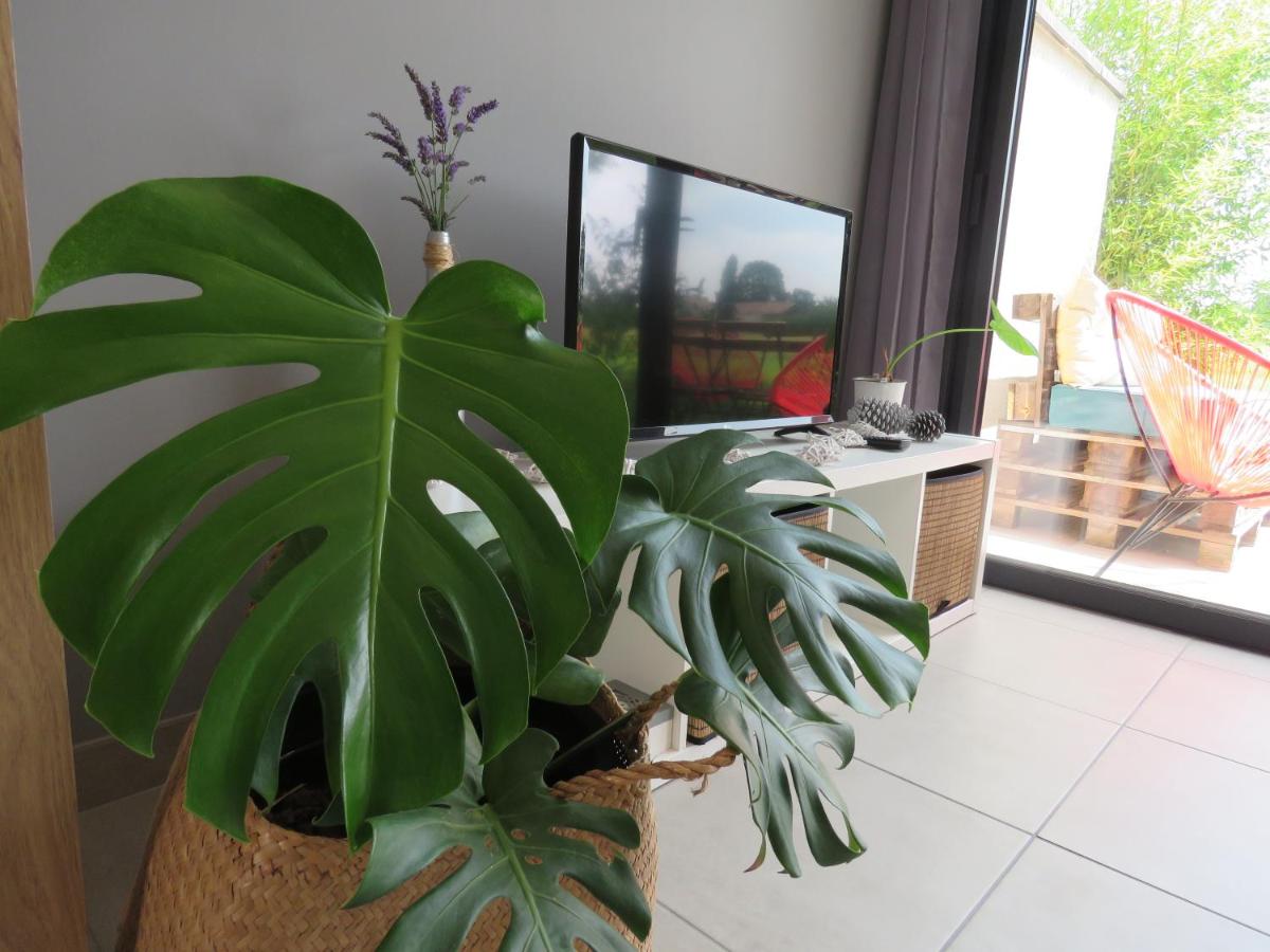 Les Jardins d'Oc - Wifi, Terrasse et Jardinet - Appart T2 neuf - Housity