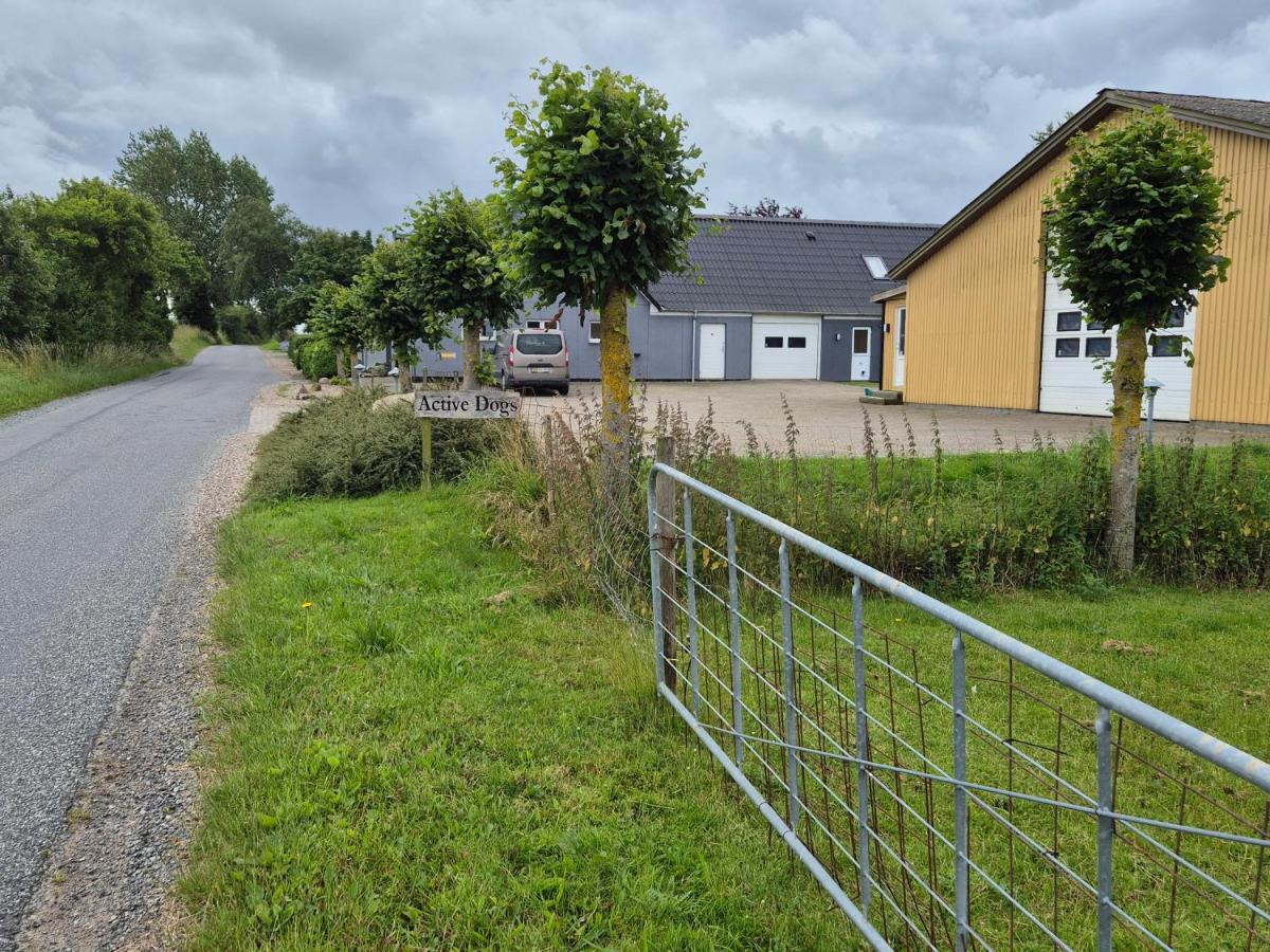 Værelse, spiseområde, tv-stue og eget bad på landet - Housity
