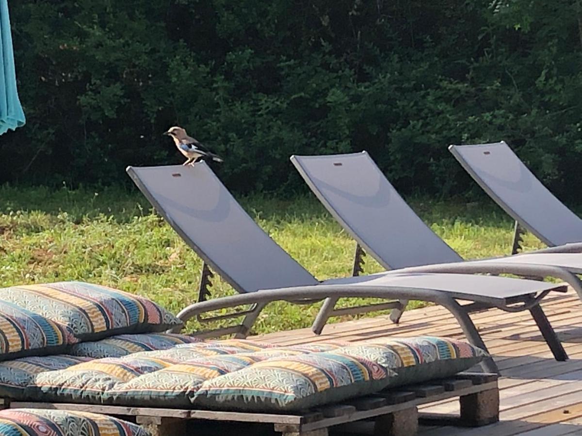 Villa tout confort avec piscine - Housity