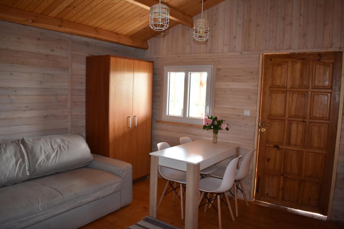 Domki nad stawem - Housity