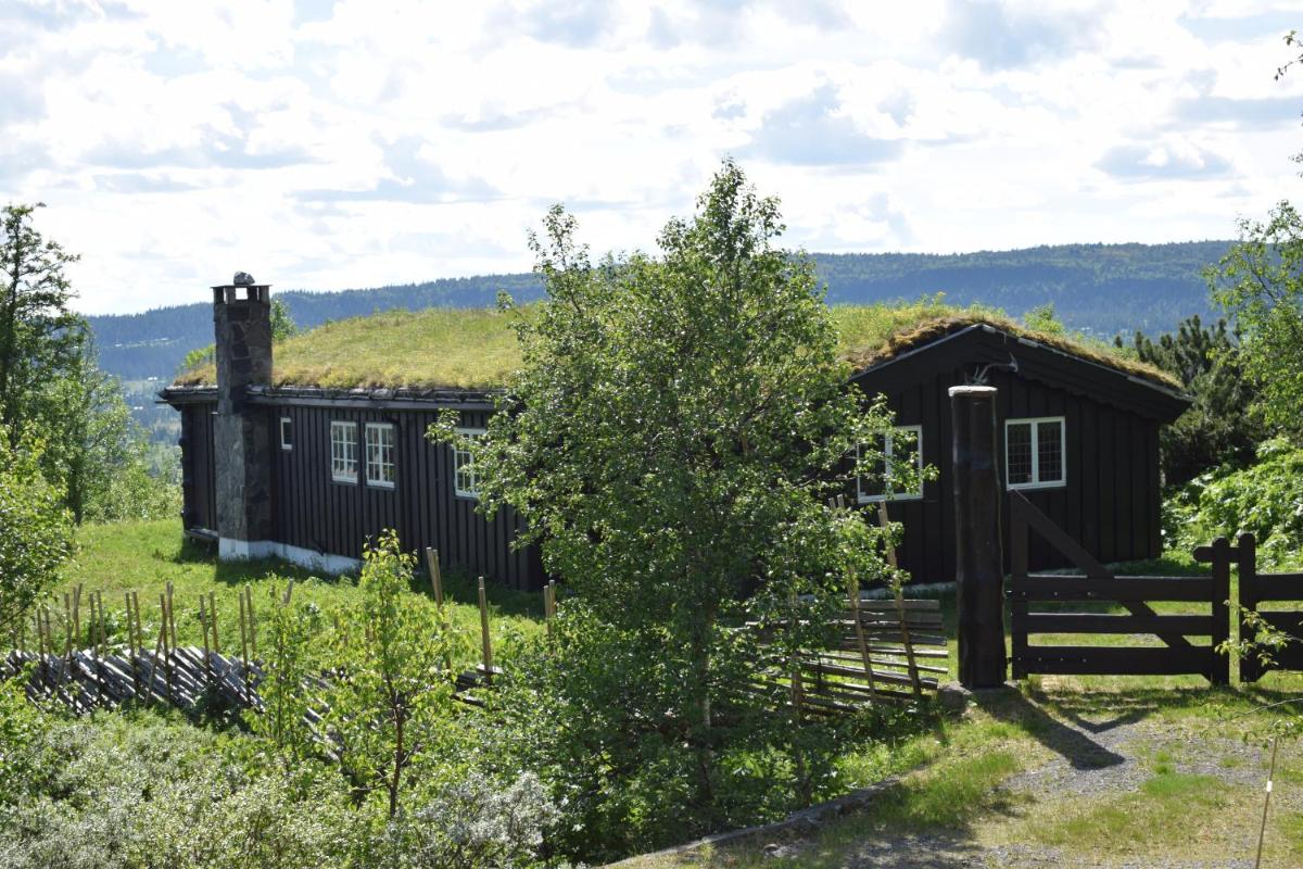 Skeikampen Booking - Housity