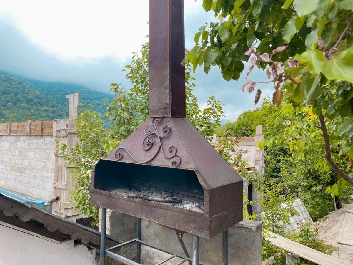 Bella Dilijan - Housity