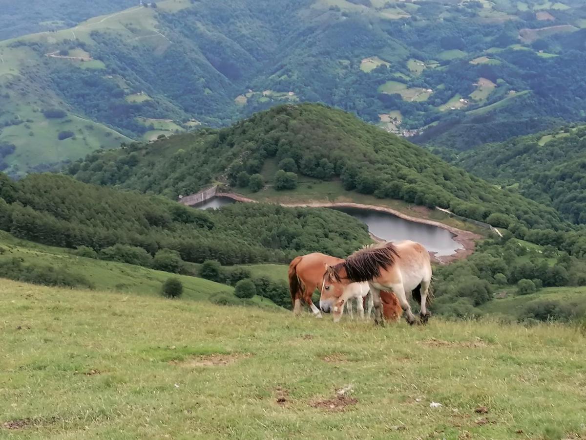 Casa rural SOROA landetxea - Housity