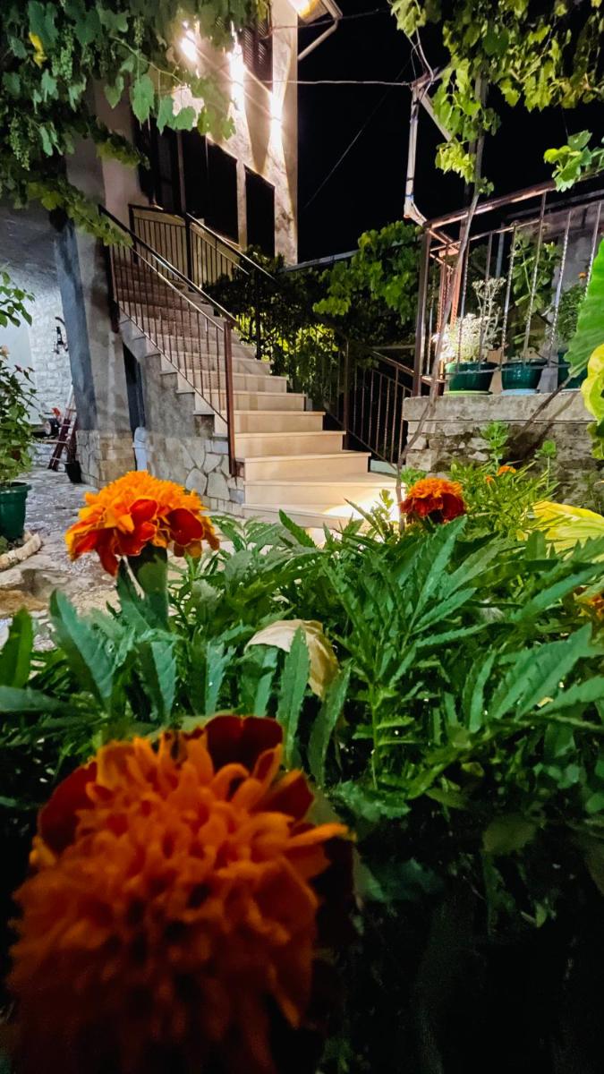 Denis GuestHouse 1930 - Housity