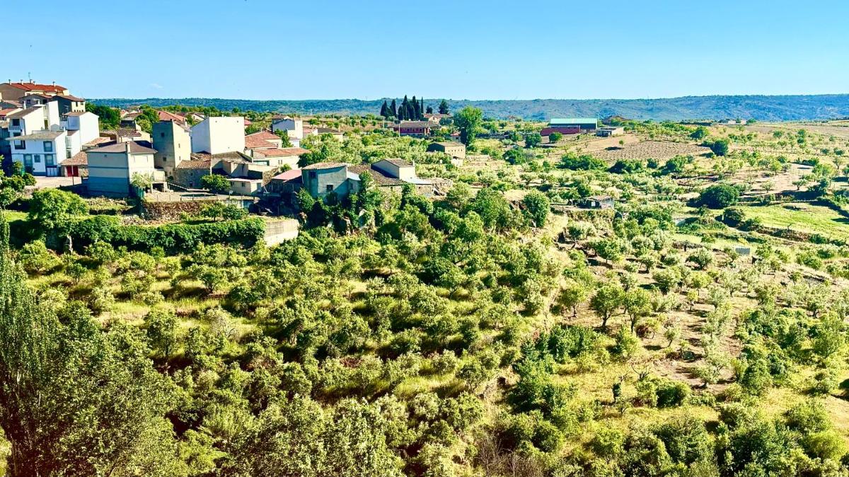 un pequeño pueblo en una colina con árboles y casas en Terraplén Seis Boutique Hotel, en Fermoselle