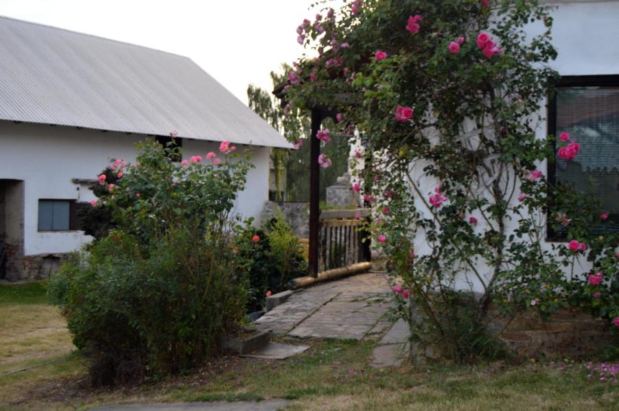 Bohemica Apartman 1 - Housity