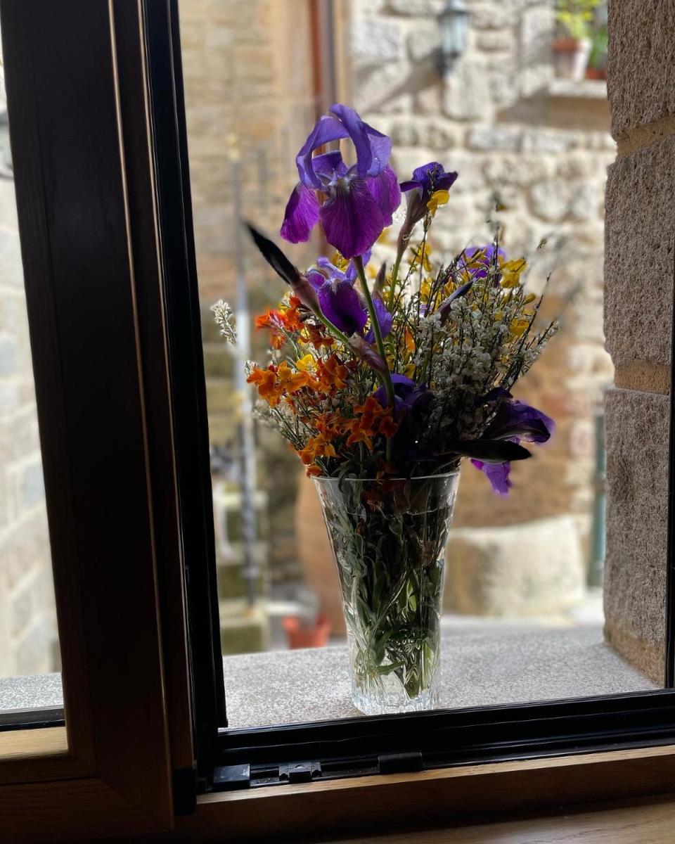 Imagen de la galería de Terraplén Seis Boutique Hotel, en Fermoselle