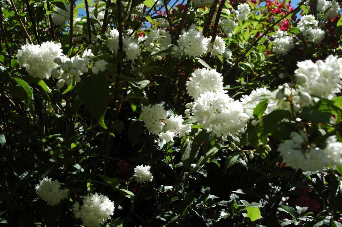 Jardin de l'établissement Le Castelet