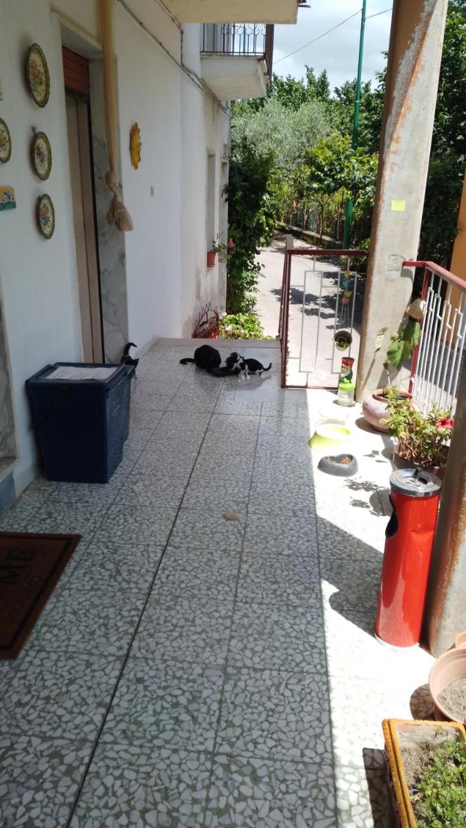 Al casale vicino ospedale moscati - Housity