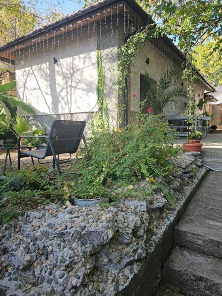 Стаи за гости Лилия - Housity