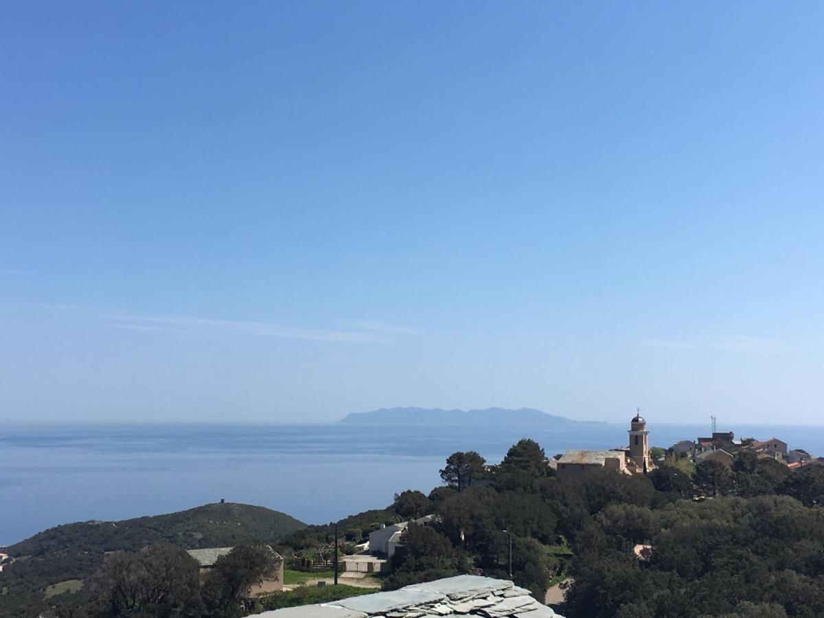 La charmante **** Maison Cap Corse, Tomino - Housity