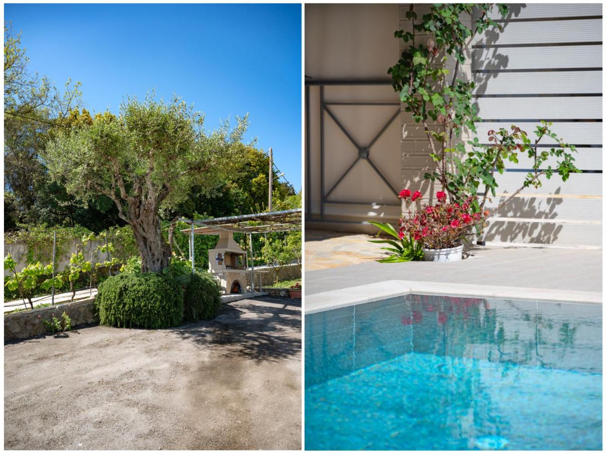 Villa Telio - Housity