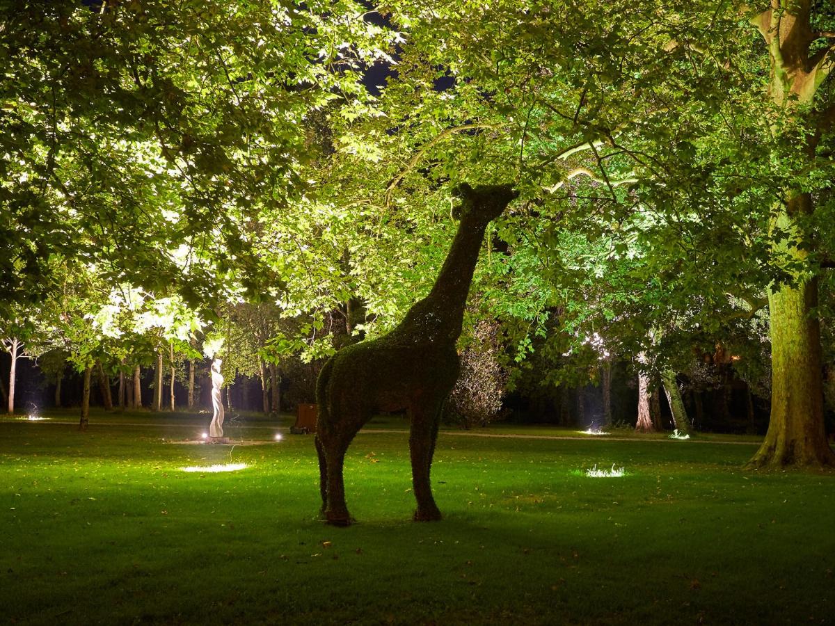 Animaux dans l'hôtel ou à proximité