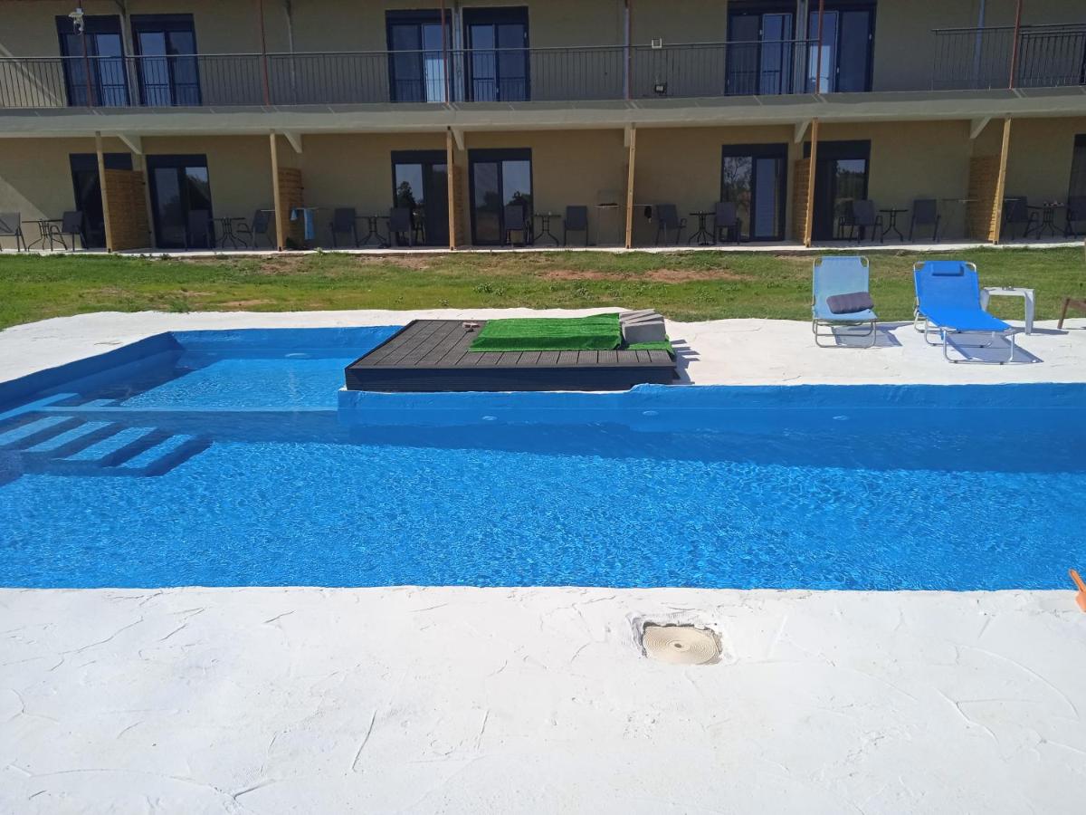 Bella Kaliva - Housity