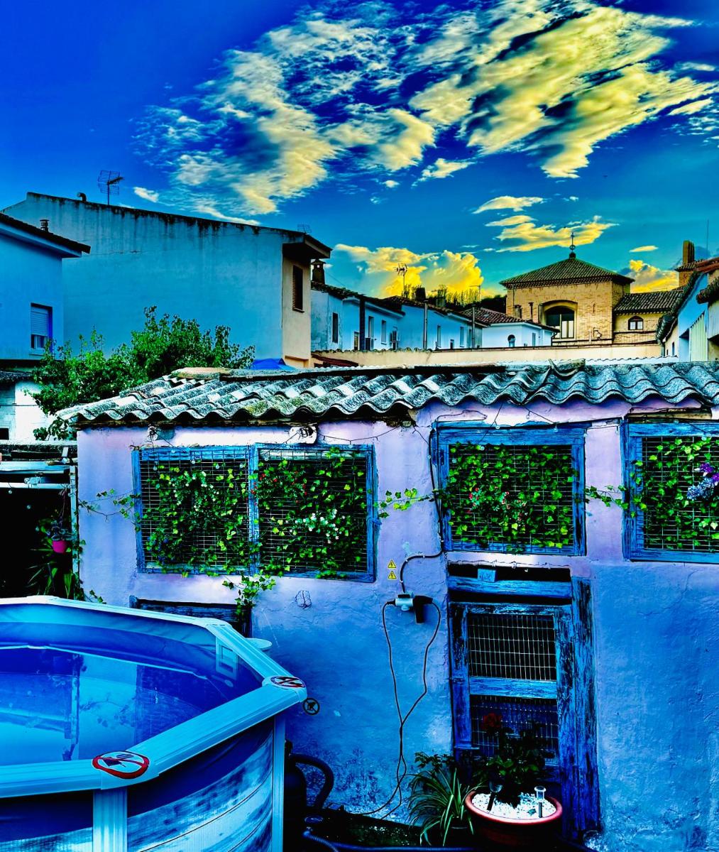Casa Rural Al Sol de las Ruinas con piscina privada junto al pueblo viejo de Belchite - Housity
