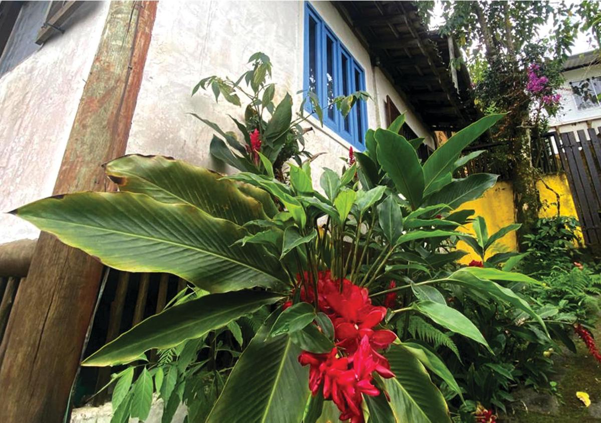 Casa em Ilhabela - Housity