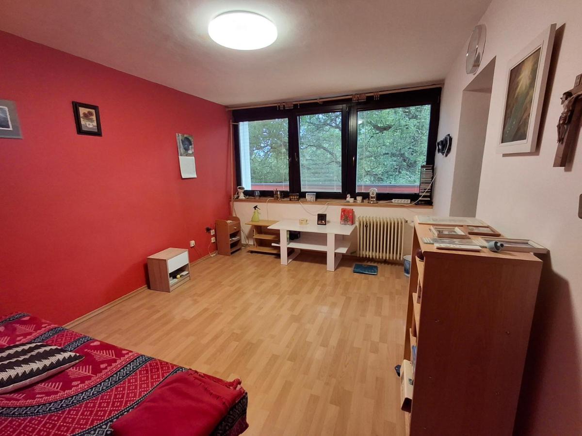 Pokoj v rodinném se sdílenou koupelnou - Housity