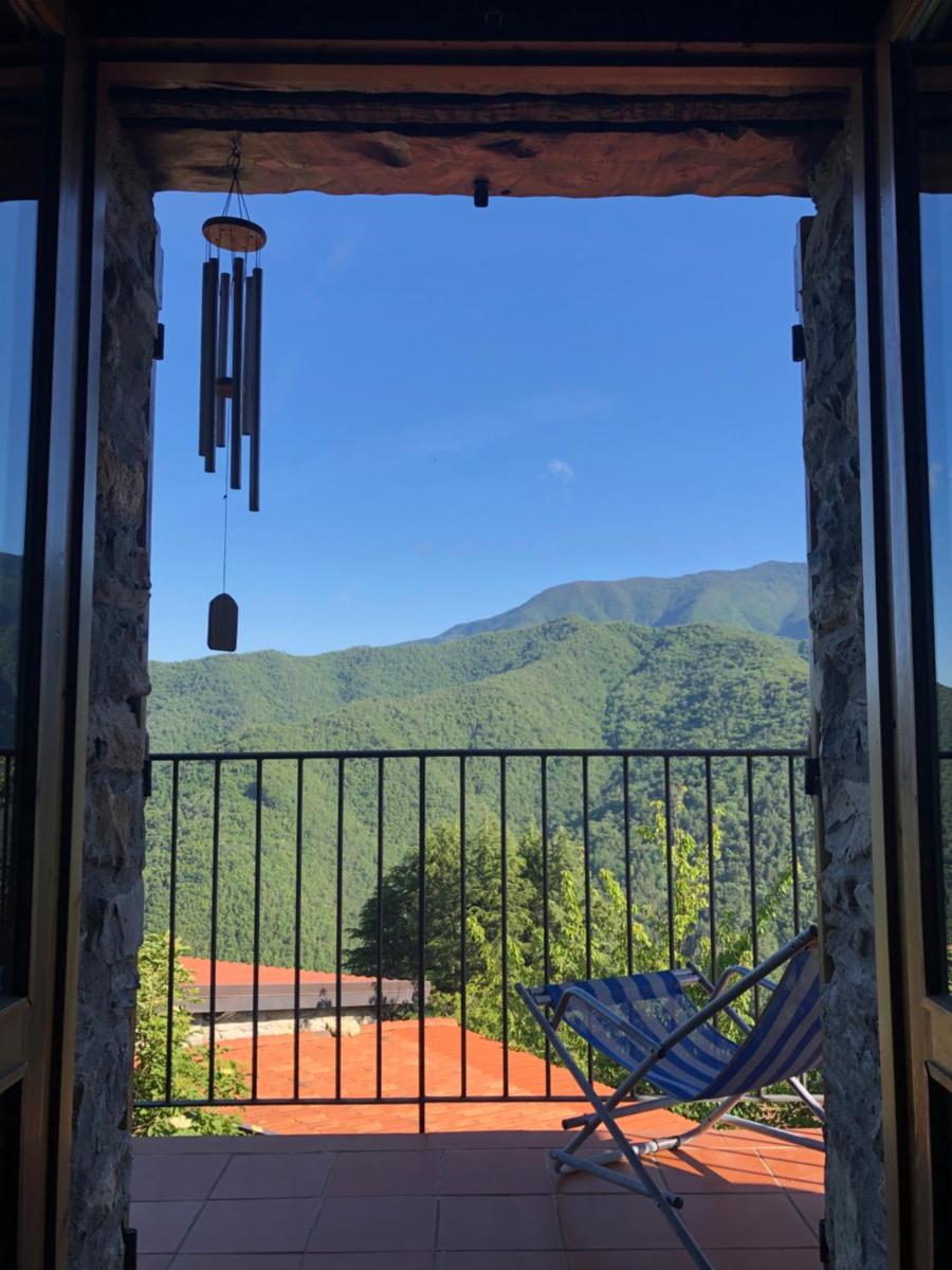 La Strega Bianca - Housity