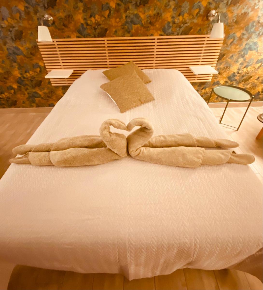 gite du vieux saule 1 gite avec spa privatif pour 2 personnes 1 suite familiale sans spa - Housity