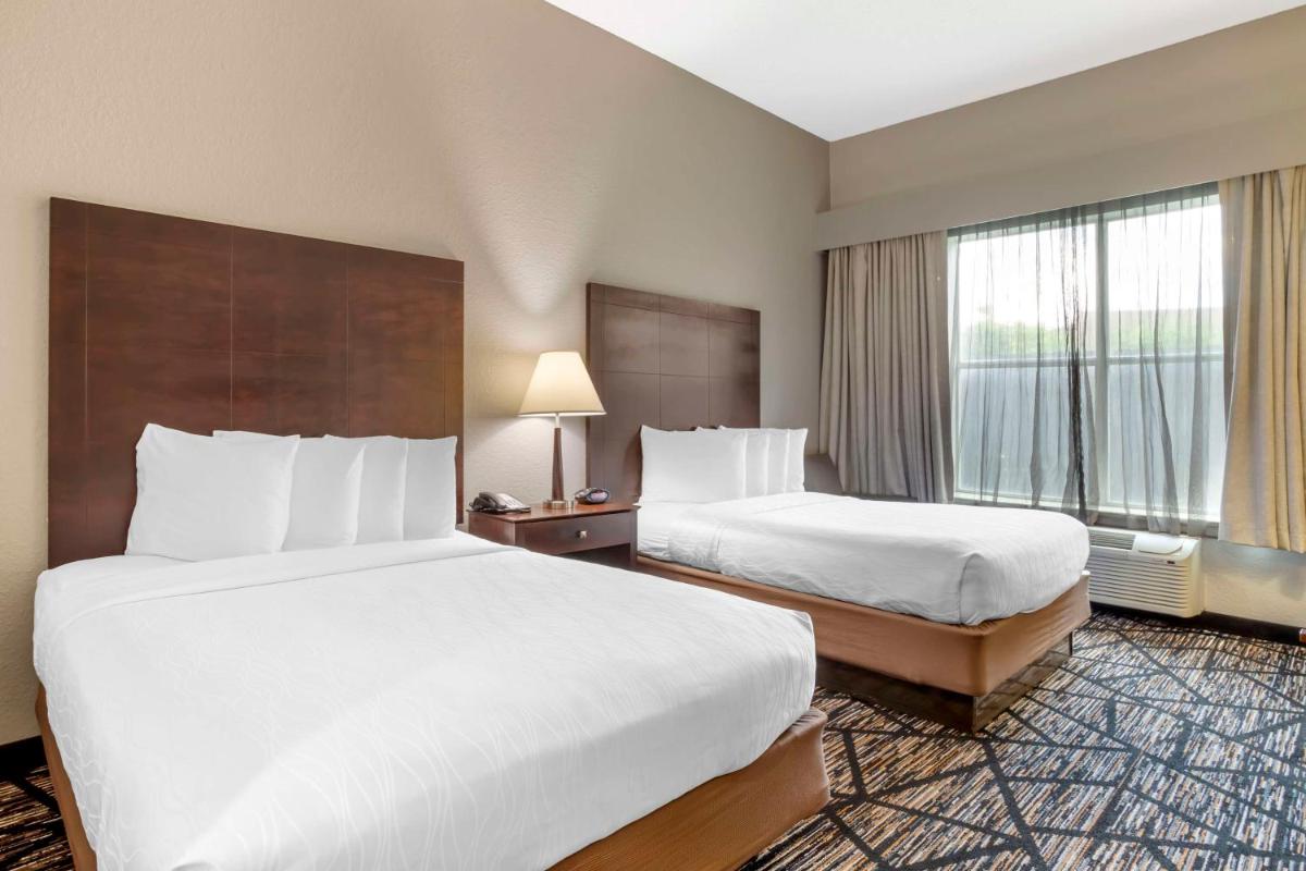 Best Western PLUS Hobby Airport Inn and Suites - Hizvo