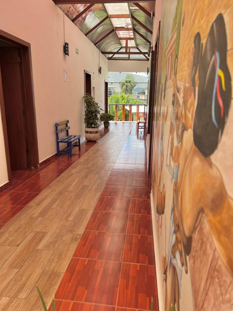 Hotel El Jaguar - Housity